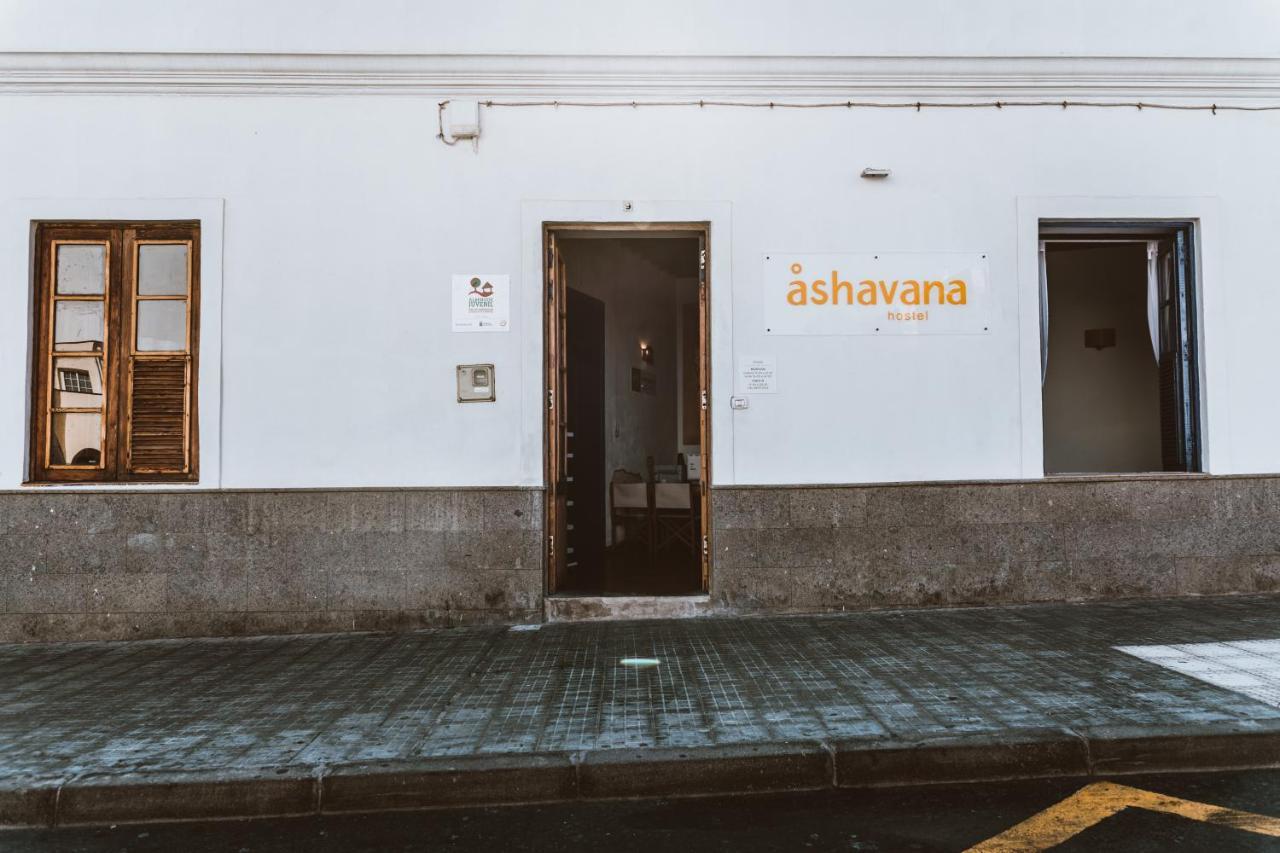אל מדאנו Ashavana Nest Hostel מראה חיצוני תמונה